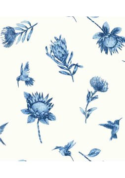 FYNBOS PROTEA BLUE